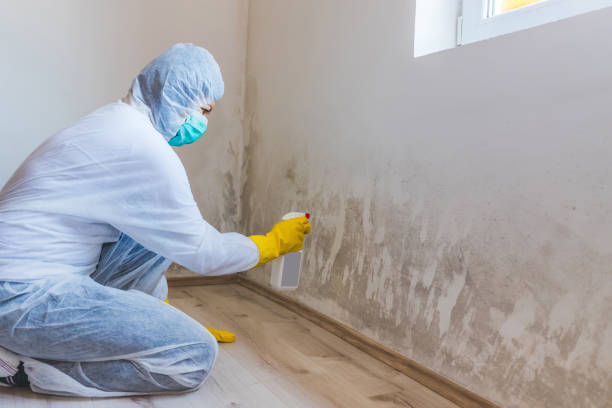 Licensed Crawl Space Mold Removal service in Laingsburg, MI - WQB Mold Removal