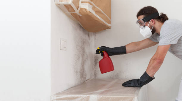 Professional Crawl Space Mold Removal technician working in Laingsburg, MI
