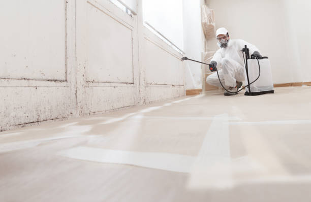 24/7 Emergency Crawl Space Mold Removal experts in Laingsburg, MI