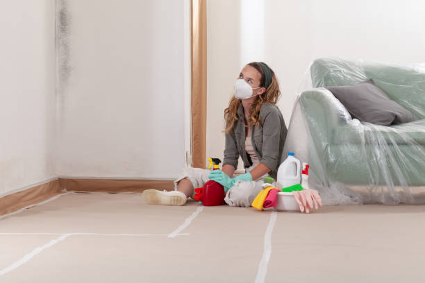 Trusted Crawl Space Mold Removal service in Laingsburg, MI - WQB Mold Removal